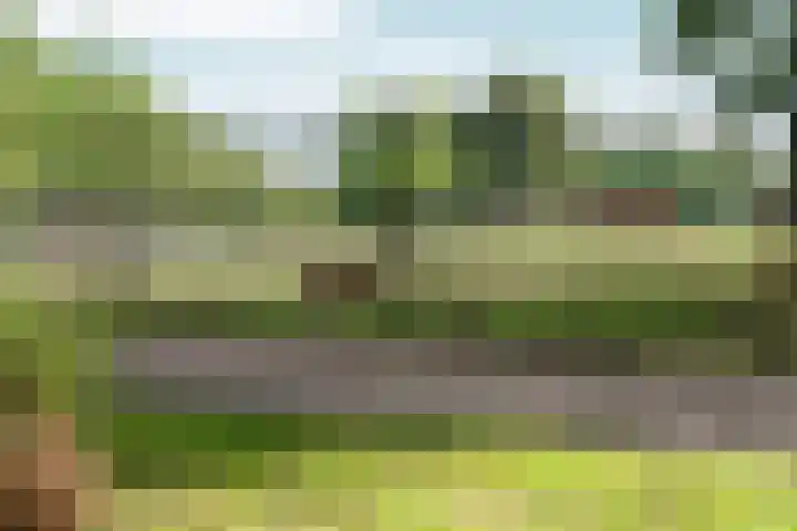 Wezenlaan 119 Nijmegen thumbnail 59