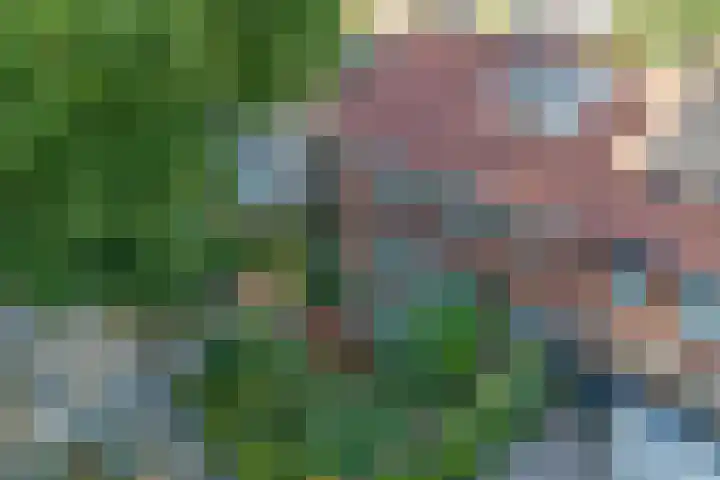 Wezenlaan 119 Nijmegen thumbnail 6