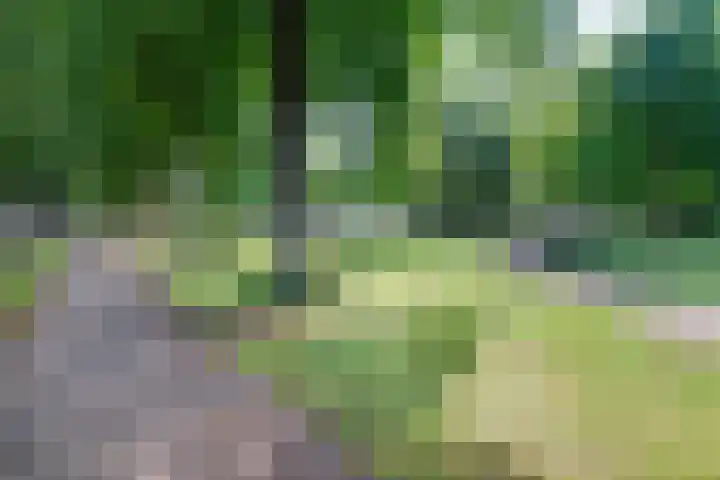 Wezenlaan 119 Nijmegen thumbnail 61