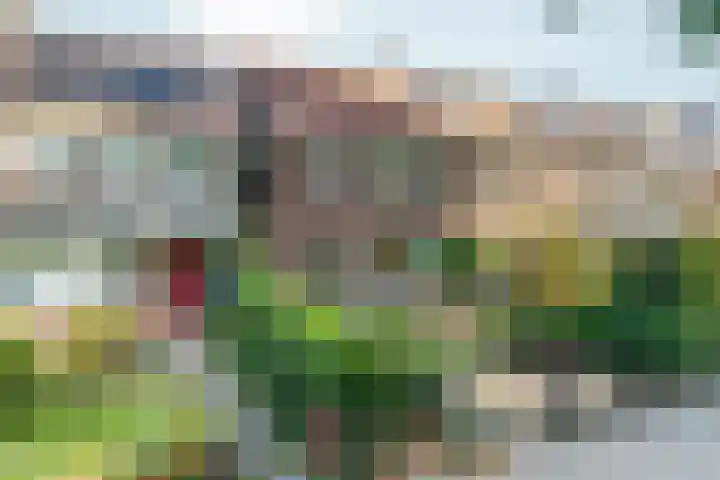 Wezenlaan 119 Nijmegen thumbnail 64