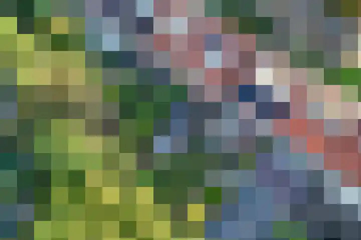 Wezenlaan 119 Nijmegen thumbnail 67
