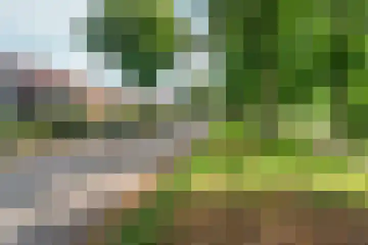 Wezenlaan 119 Nijmegen thumbnail 7