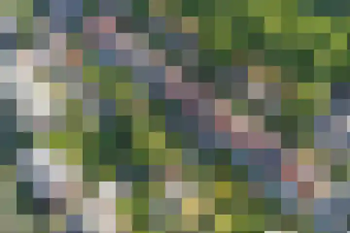 Wezenlaan 119 Nijmegen thumbnail 73