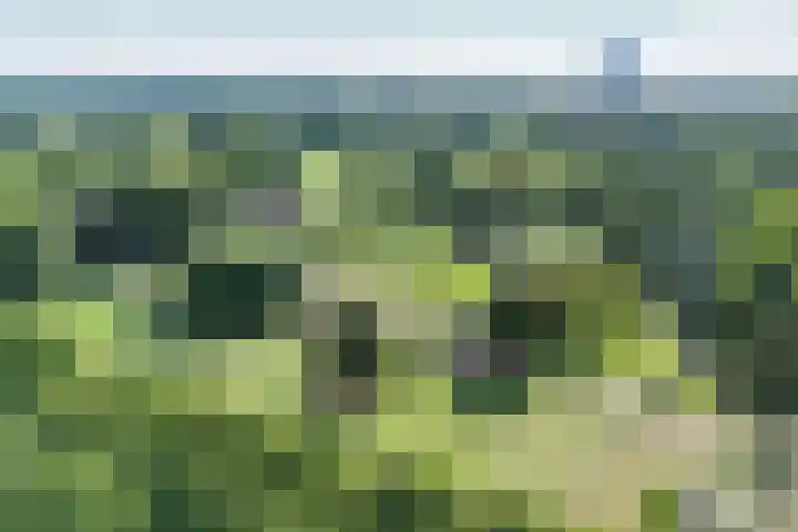 Wezenlaan 119 Nijmegen thumbnail 76