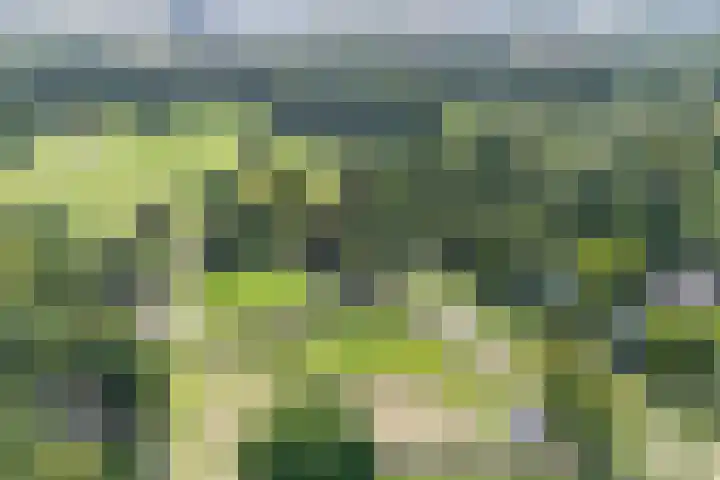 Wezenlaan 119 Nijmegen thumbnail 77