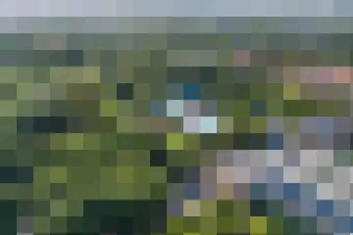 Wezenlaan 119 Nijmegen thumbnail 79