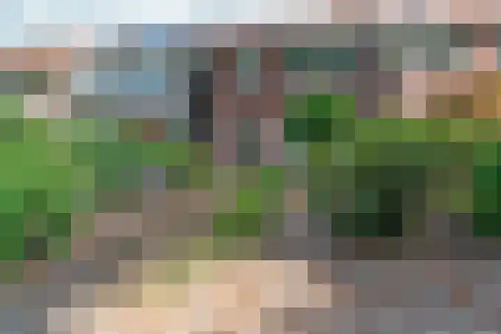 Wezenlaan 119 Nijmegen thumbnail 8