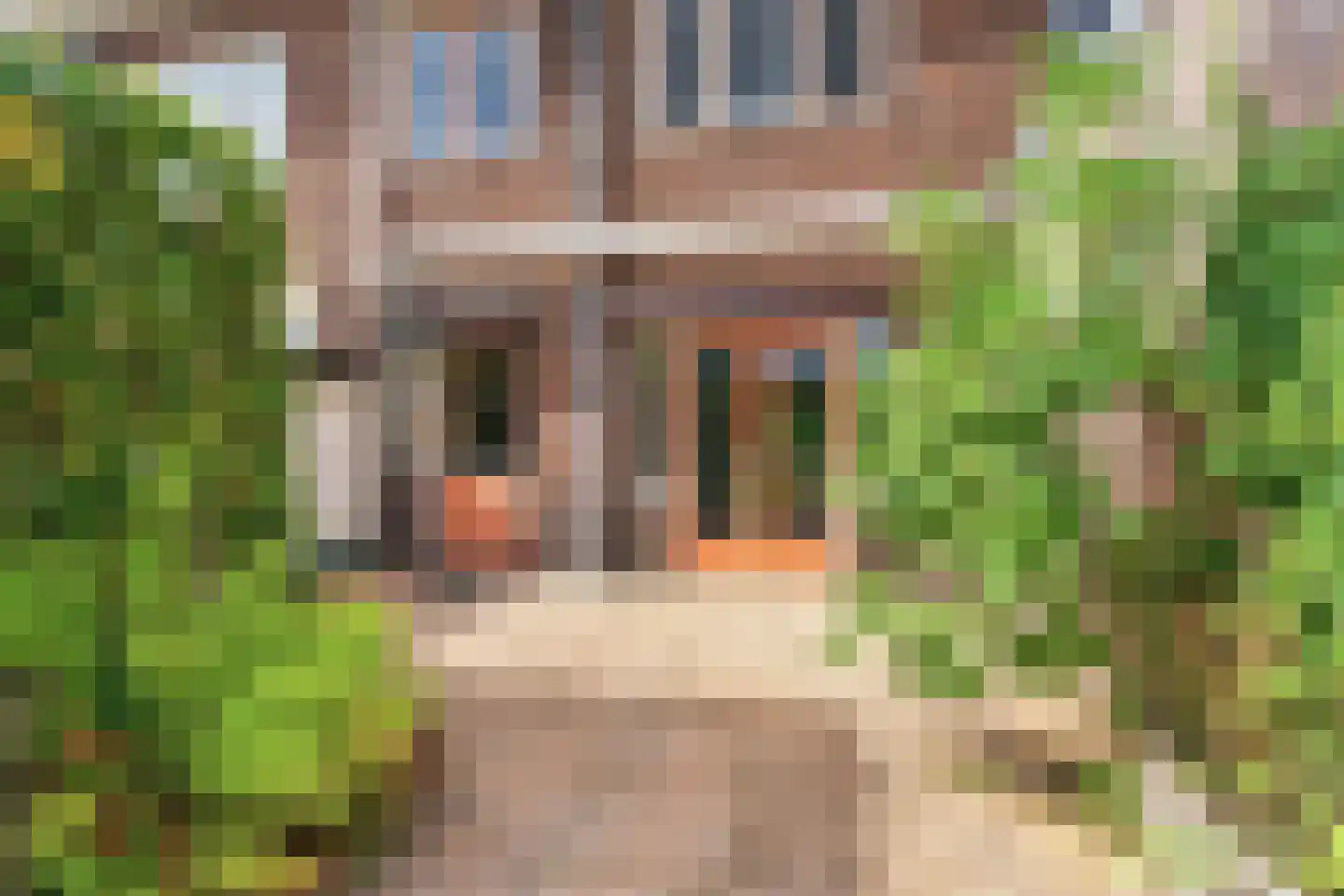 Wezenlaan 177 Nijmegen thumbnail 31