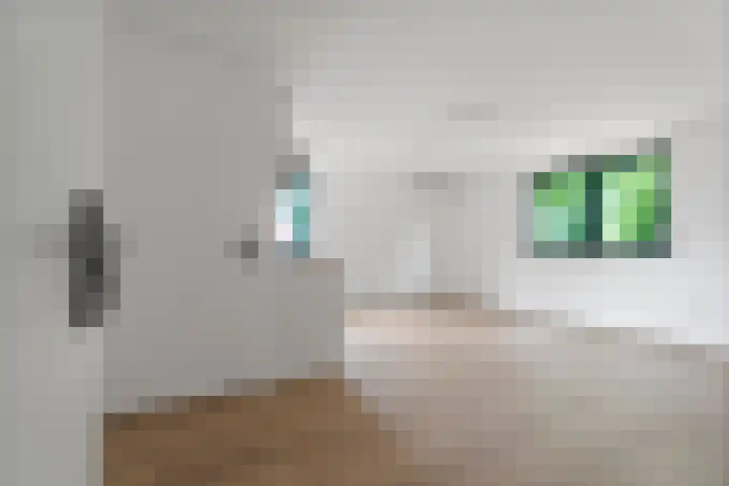 Wezenlaan 185 H Nijmegen thumbnail 10