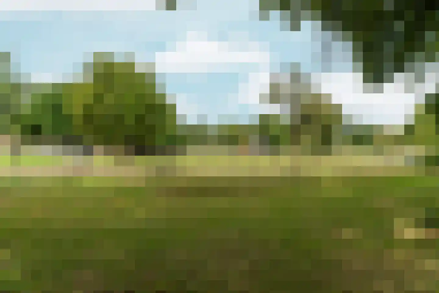 Wezenlaan 185 H Nijmegen thumbnail 18