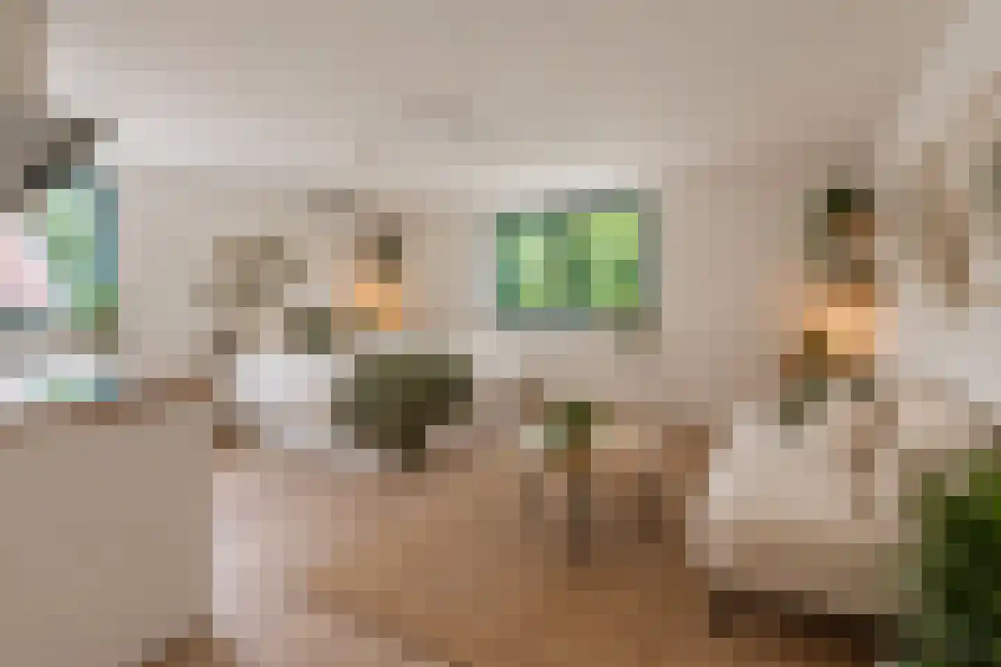 Wezenlaan 185 H Nijmegen thumbnail 6