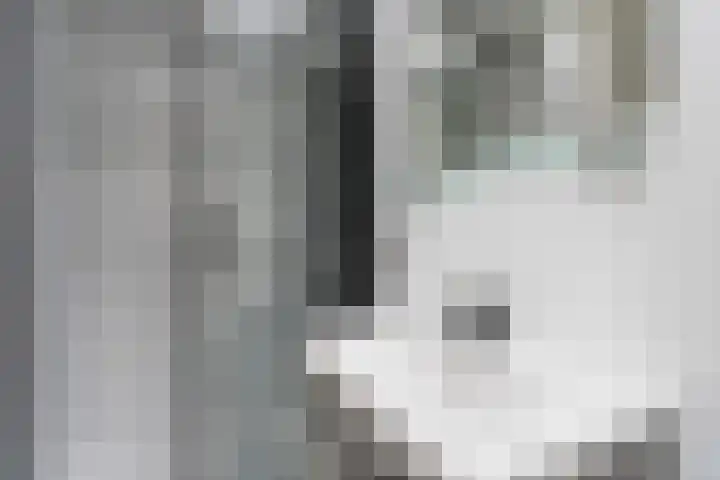 Wezenlaan 185 K Nijmegen thumbnail 8