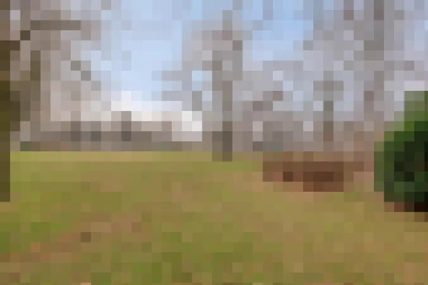 Wezenlaan 191 A Nijmegen thumbnail 23