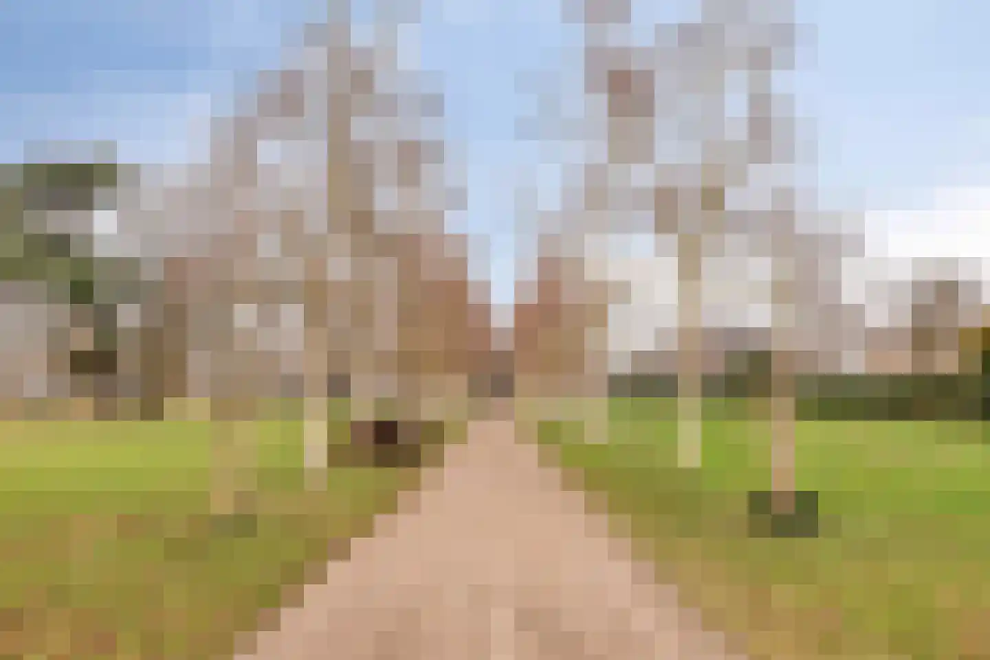 Wezenlaan 191 A Nijmegen thumbnail 26