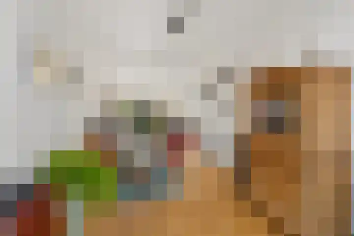 Wezenlaan 20 Nijmegen thumbnail 12