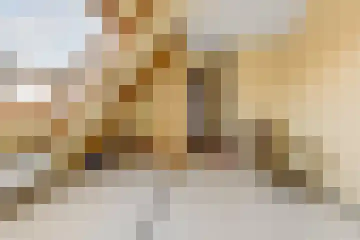 Wezenlaan 20 Nijmegen thumbnail 36
