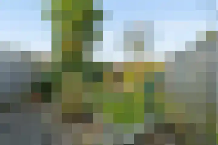 Wezenlaan 20 Nijmegen thumbnail 44