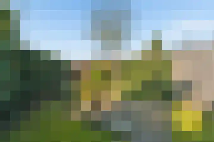 Wezenlaan 20 Nijmegen thumbnail 46
