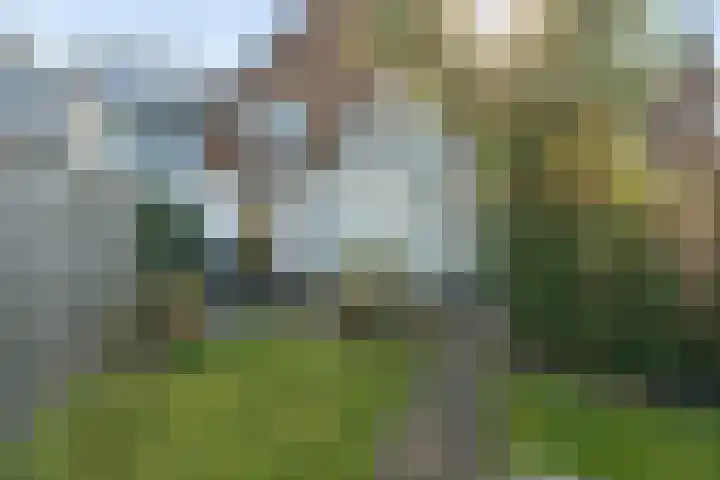 Wezenlaan 20 Nijmegen thumbnail 47