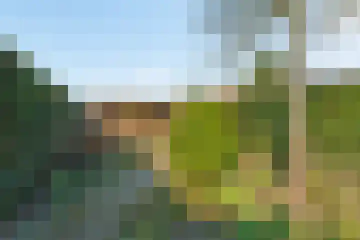 Wezenlaan 20 Nijmegen thumbnail 48
