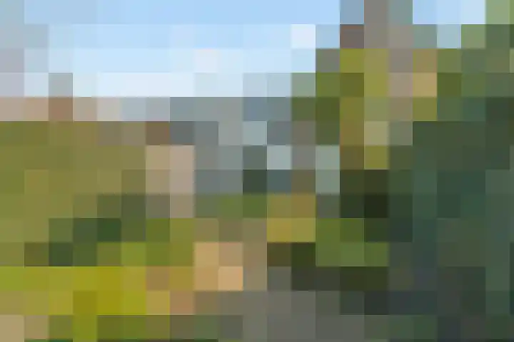 Wezenlaan 20 Nijmegen thumbnail 49