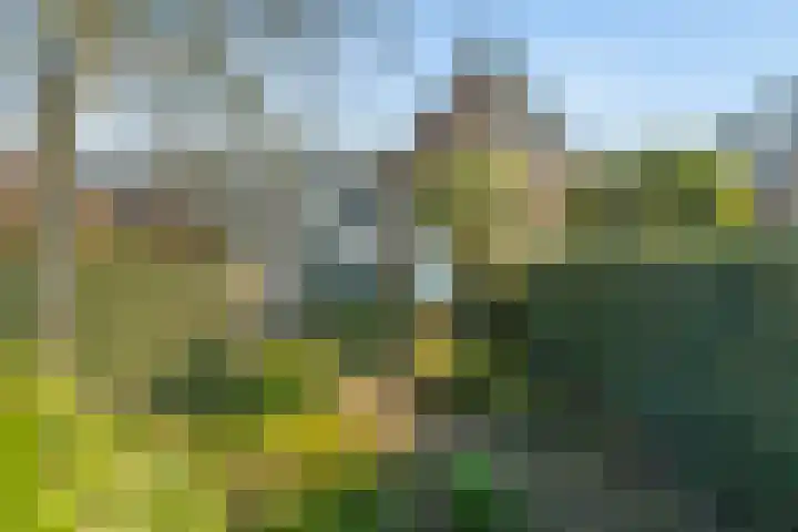 Wezenlaan 20 Nijmegen thumbnail 53
