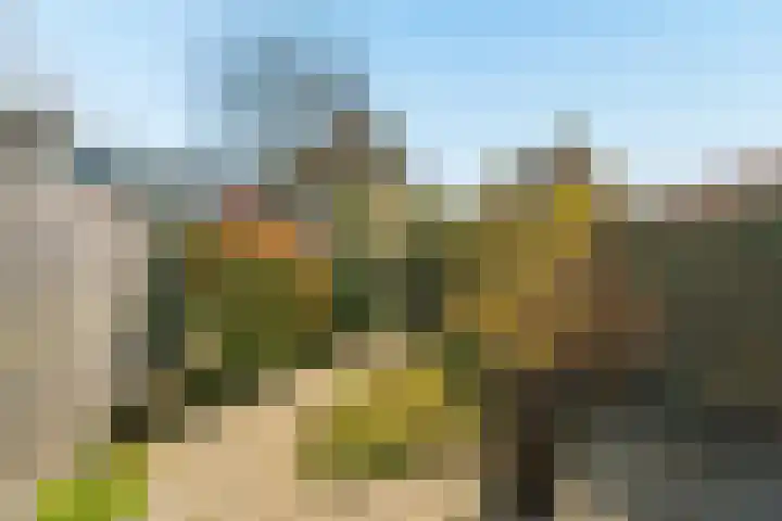 Wezenlaan 20 Nijmegen thumbnail 54
