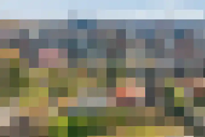Wezenlaan 20 Nijmegen thumbnail 60