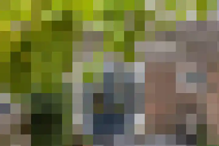 Wezenlaan 56 Nijmegen thumbnail 23