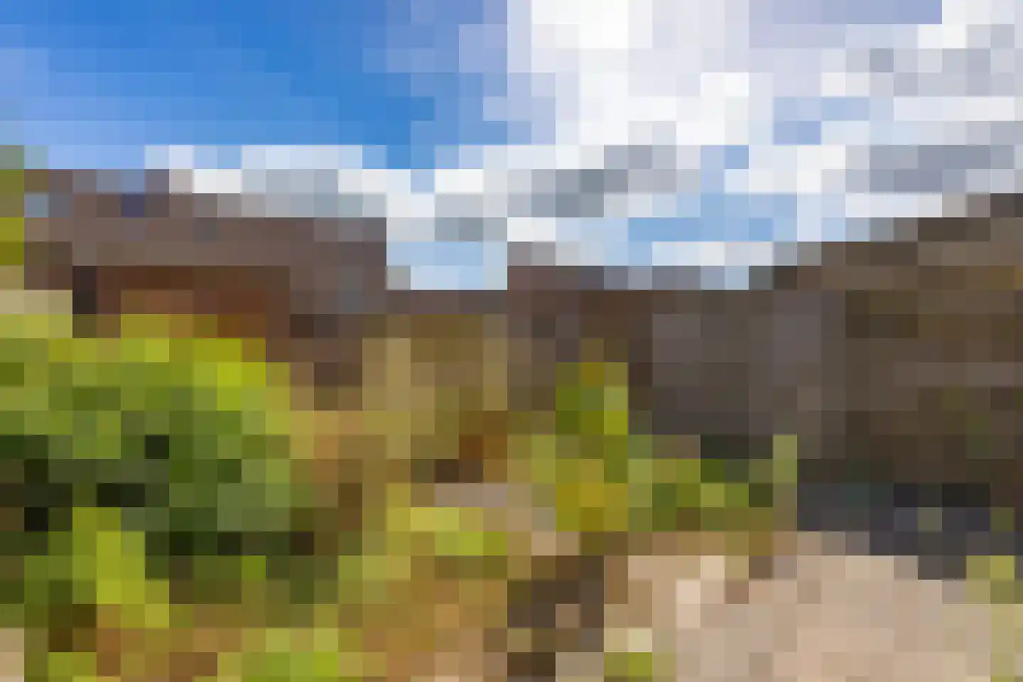 Wezenland 130 Wormer thumbnail 28
