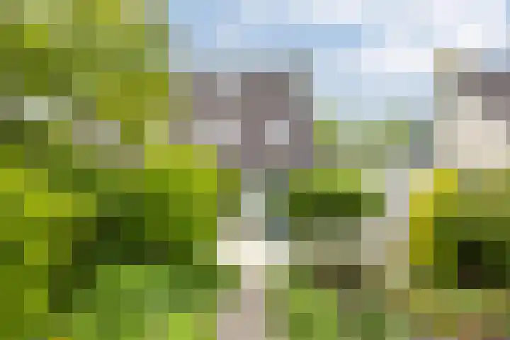 Wezenland 148 Wormer thumbnail 13