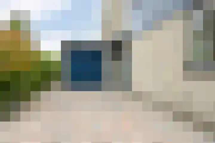 Wezenland 148 Wormer thumbnail 29