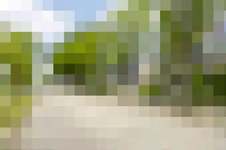 Wezenland 148 Wormer thumbnail 30