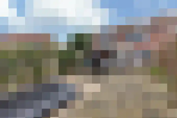 Wezenland 193 Wormer thumbnail 11