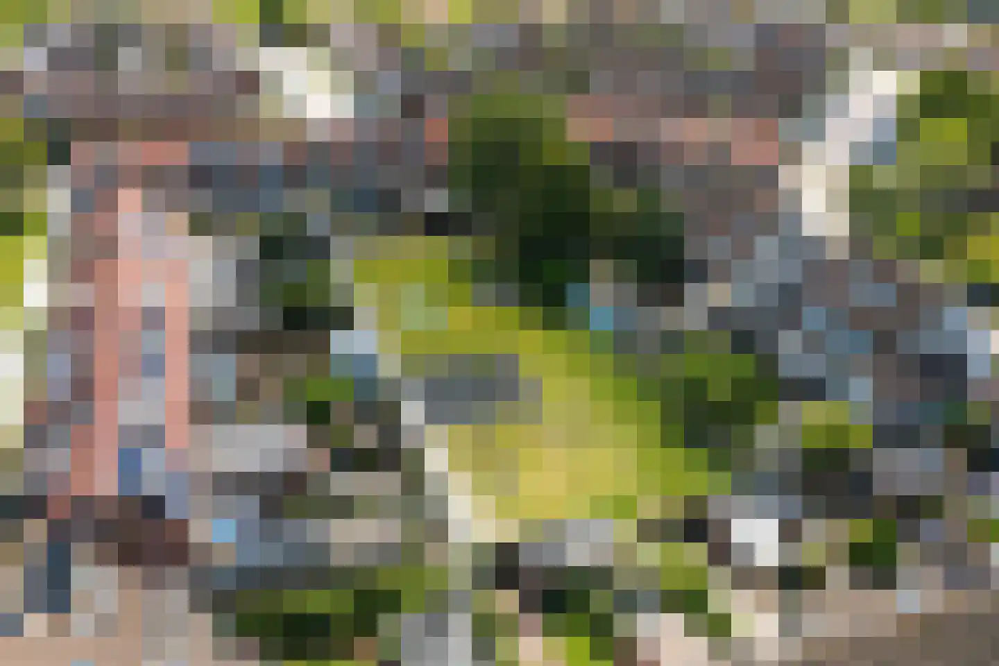 Wezenland 209 Wormer thumbnail 53