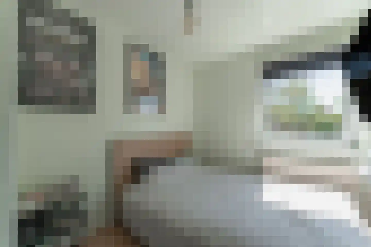 Wezenland 4 Enkhuizen thumbnail 35