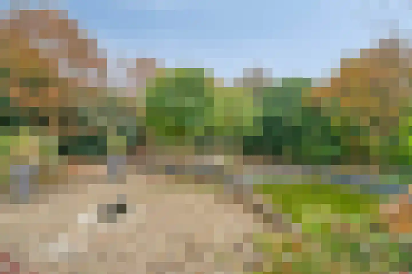 Wezenland 8 Nunspeet thumbnail 10