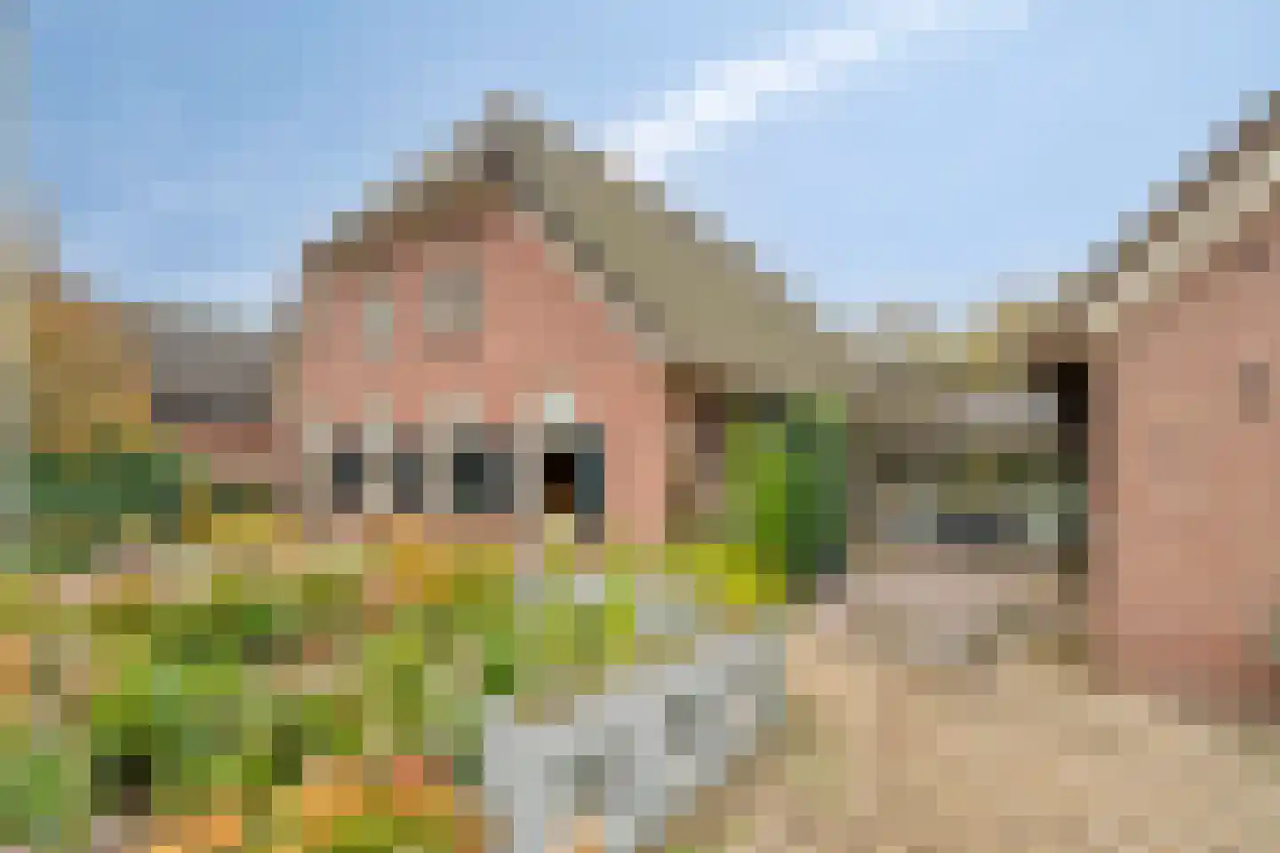 Wezenland 8 Nunspeet thumbnail 13