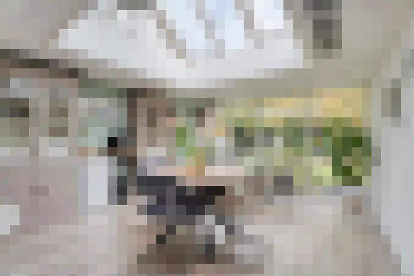Wezenland 8 Nunspeet thumbnail 31