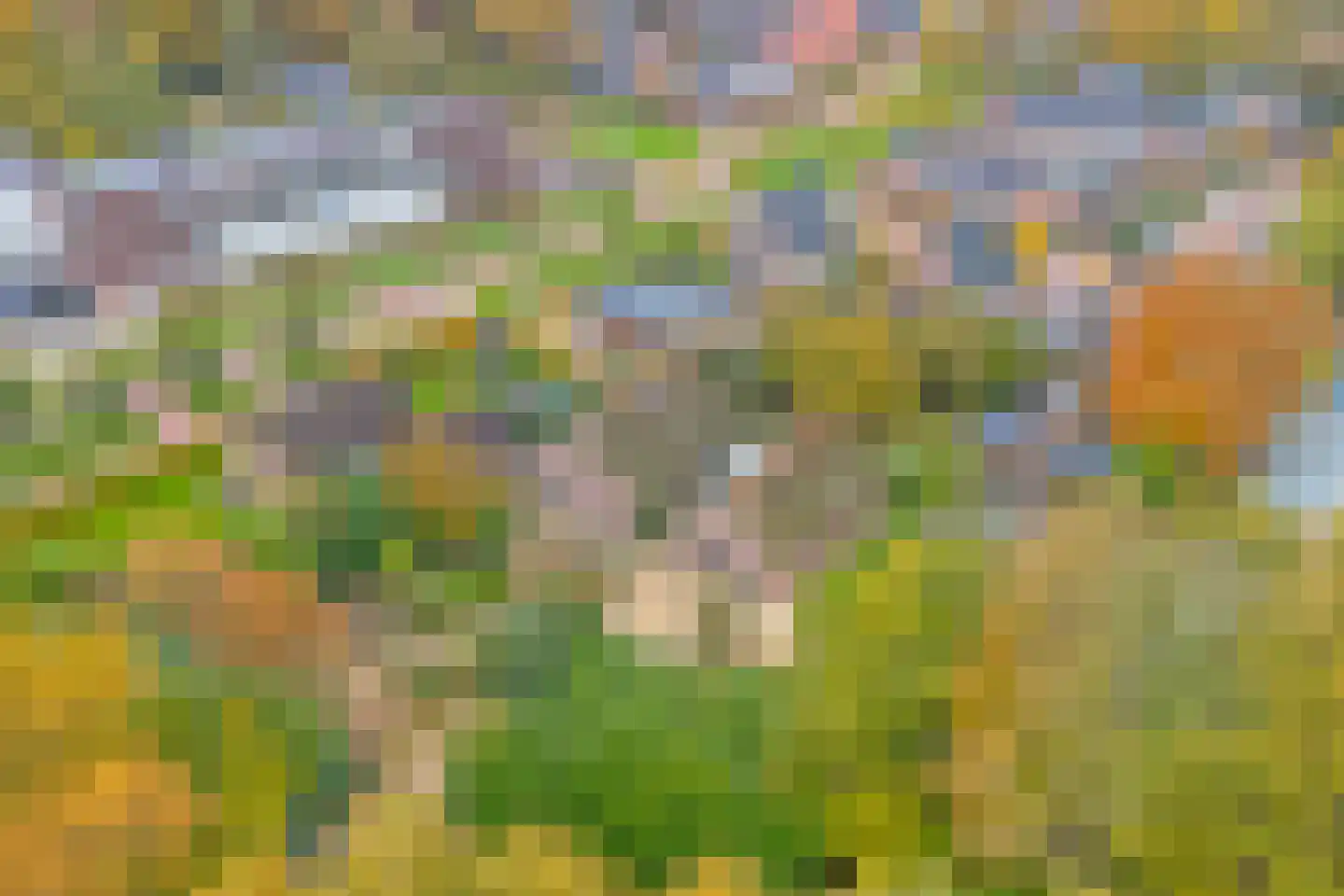 Wezenland 8 Nunspeet thumbnail 6