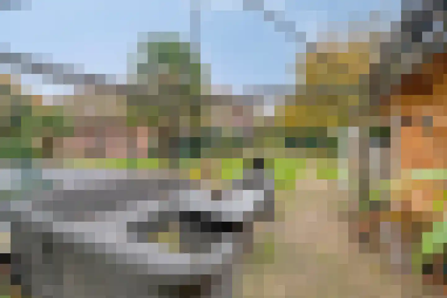 Wezenland 8 Nunspeet thumbnail 62