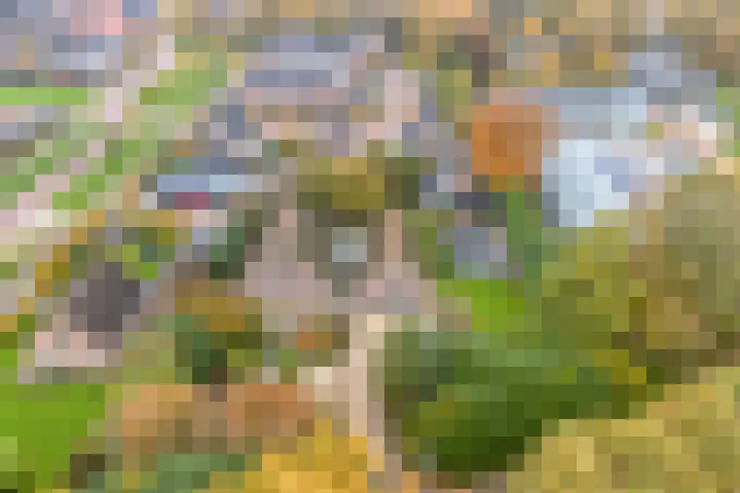 Wezenland 8 Nunspeet thumbnail 7