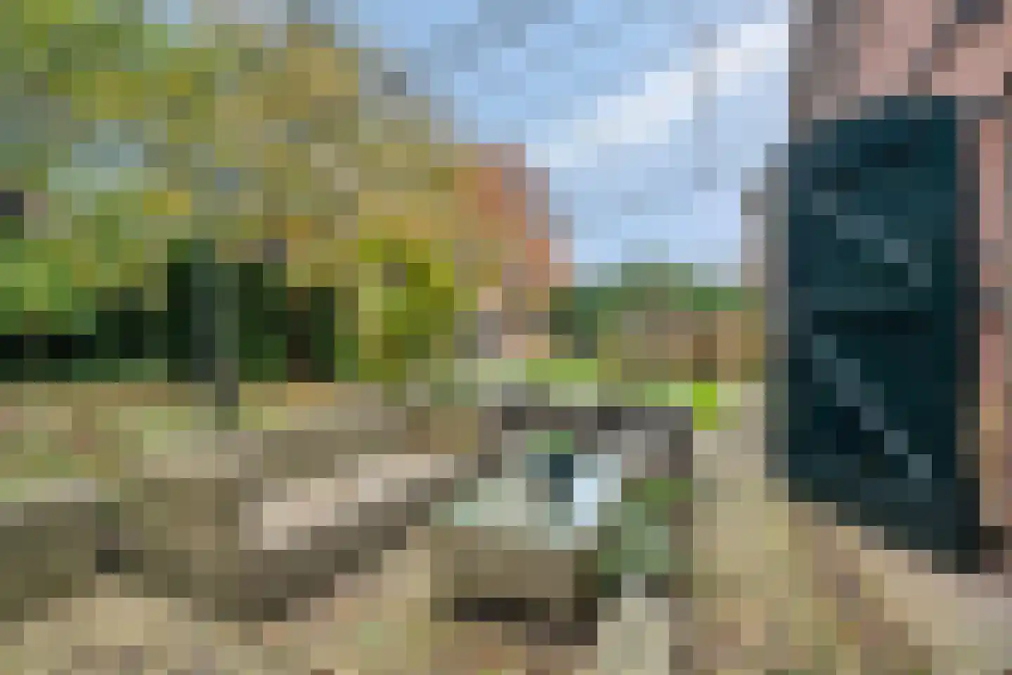Wezenland 8 Nunspeet thumbnail 74