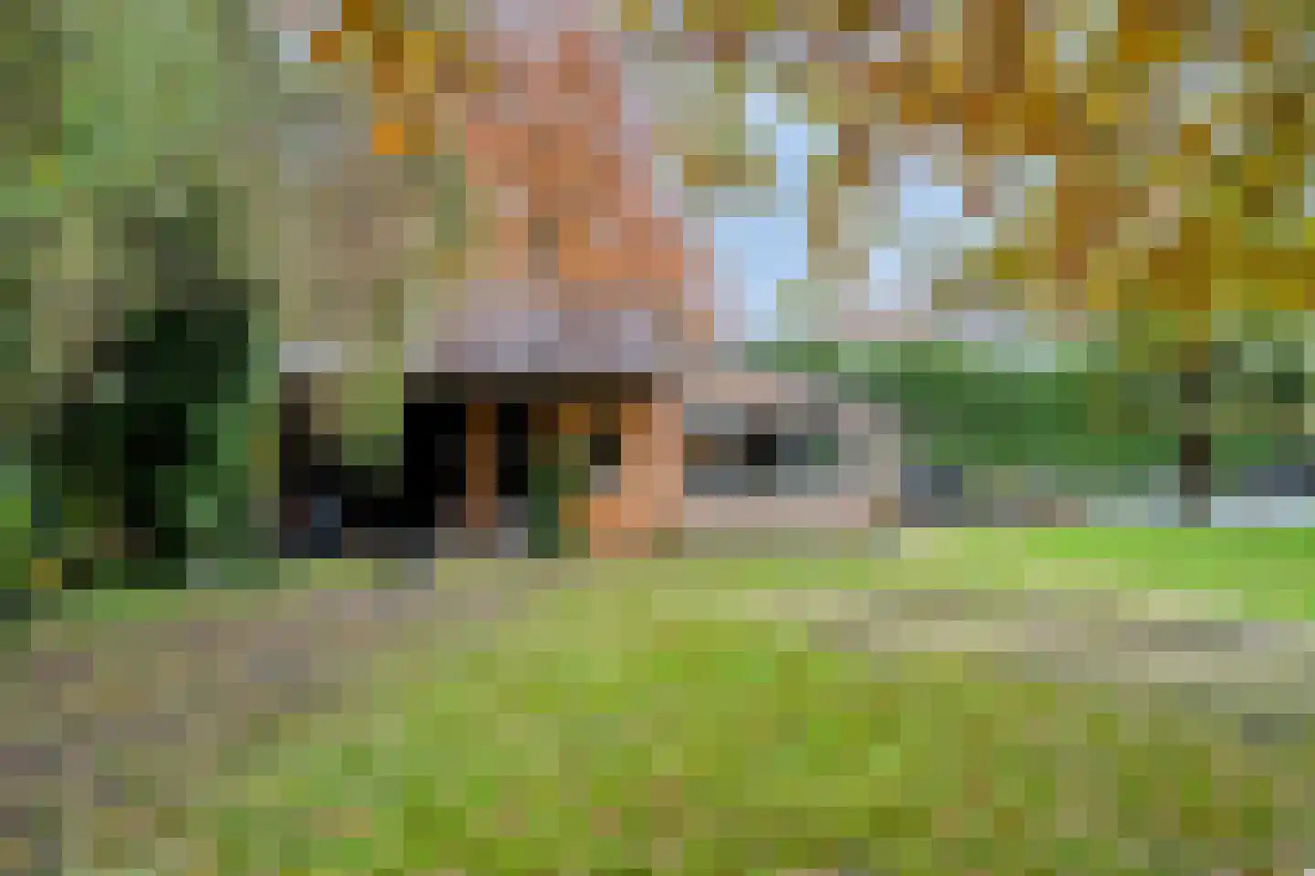 Wezenland 8 Nunspeet thumbnail 76