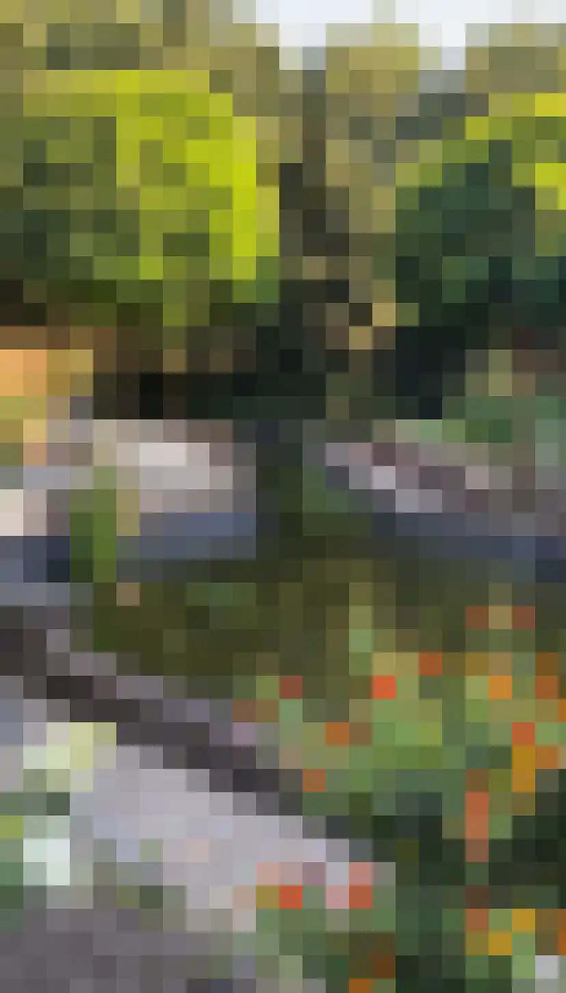 Wezenland 8 Nunspeet thumbnail 85