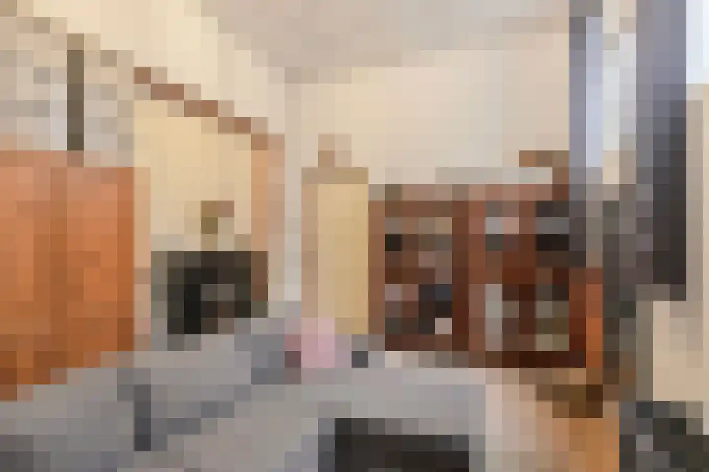 Wezenstraat 68 Den Helder thumbnail 13