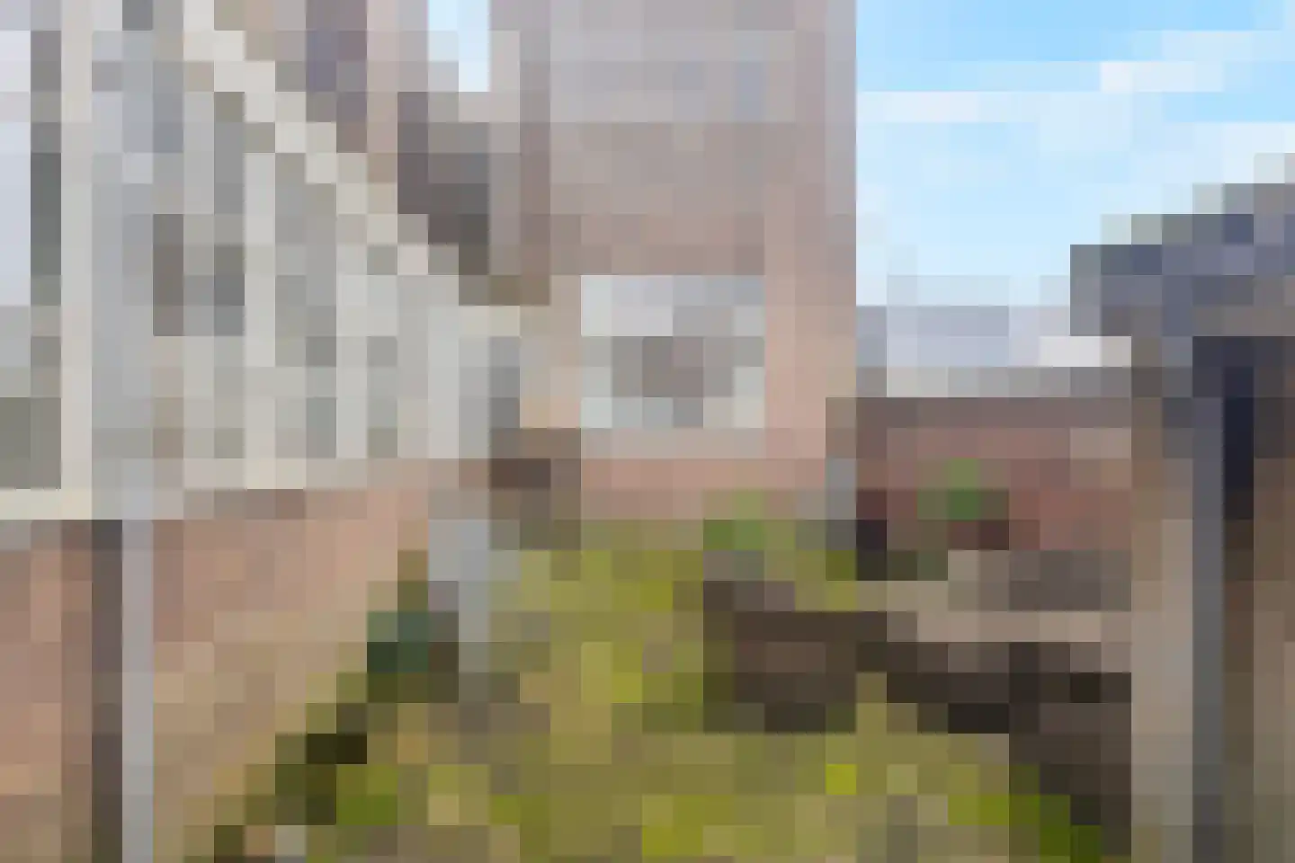 Wezenstraat 68 Den Helder thumbnail 35