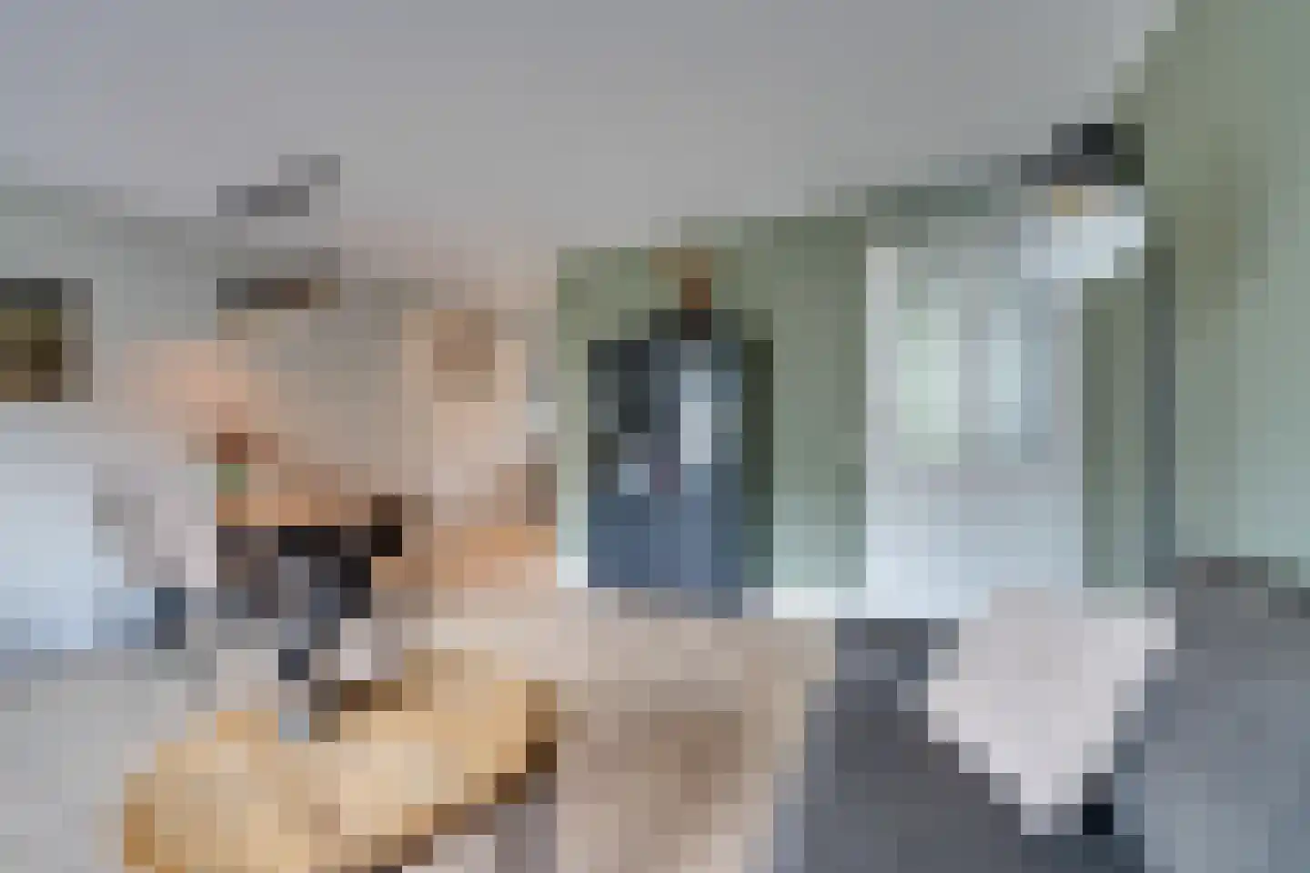 Wezenweid 20 Spierdijk thumbnail 15