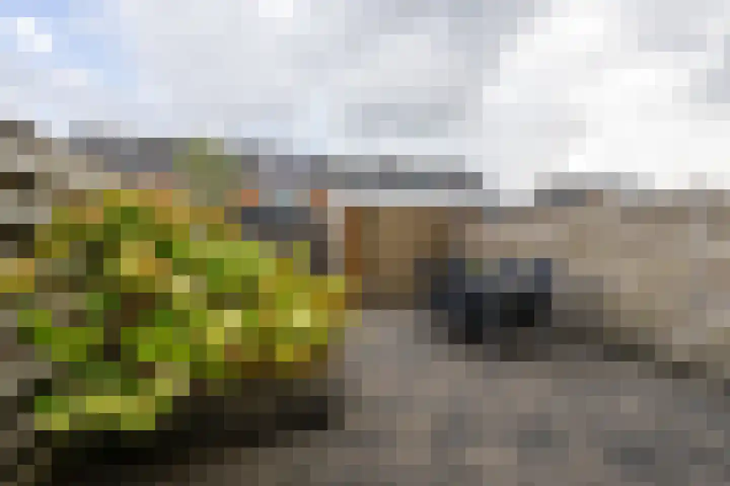 Wezenweid 20 Spierdijk thumbnail 25