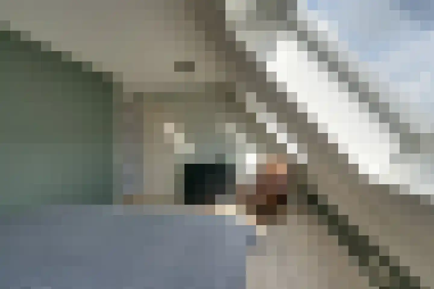 Wezenweid 20 Spierdijk thumbnail 34